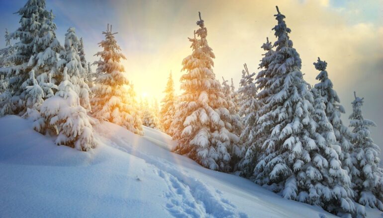 Ukraina, Karpaty, fot. Kotenko | 21725851 Dreamstime.com